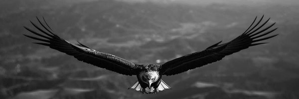 AstroIndic Profile Banner