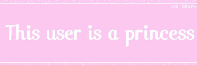 princessperfect banner