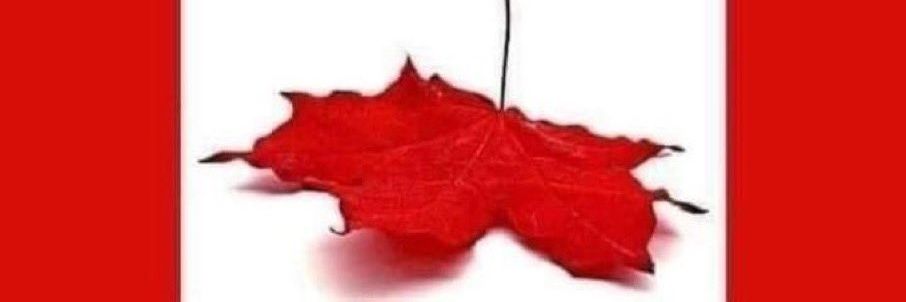 NCBrookT's profile banner image