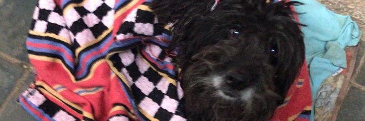 Juninho ✞ banner