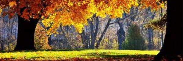 PCMMeijerdeKok Profile Banner