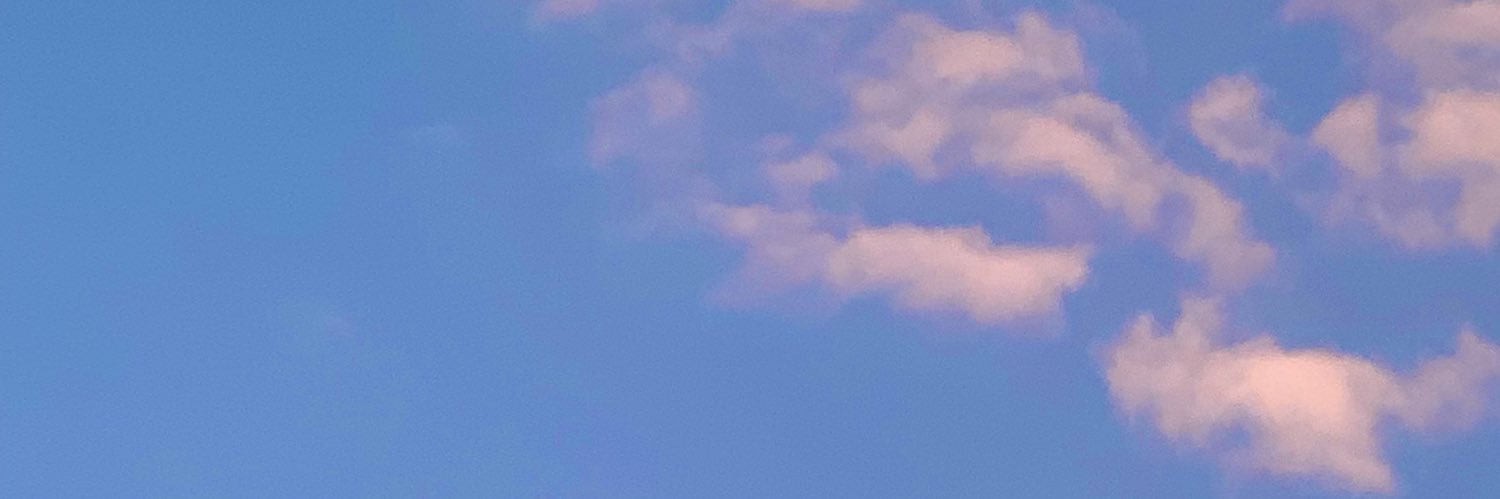 Raeilzu's profile banner image