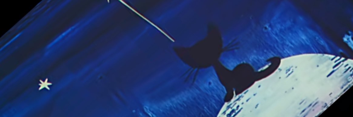 𝘔𝘪𝘳𝘢𝘯𝘥𝘢𐙚 ๑ ‏༯ banner