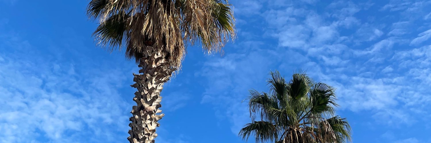 AyaMiller04's profile banner image
