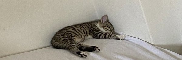 archivespirit Profile Banner