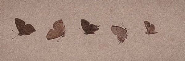 chilmll Profile Banner