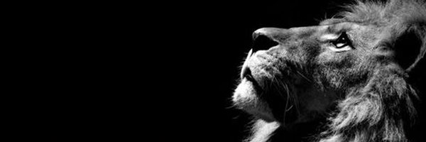 Lydsko Profile Banner