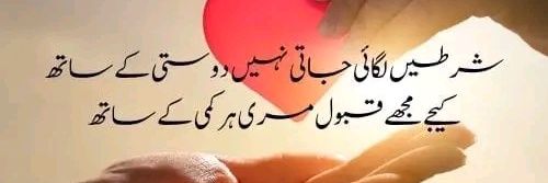 Khursheed Anwar banner
