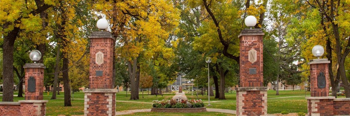 NSUTeacherEd's profile banner image
