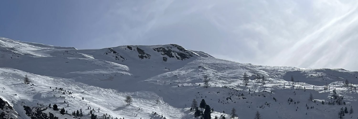 aligowini's profile banner image