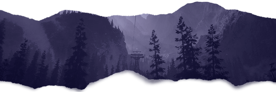 ⁯ ― A L L Y . banner