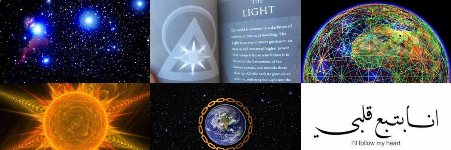 Madison Reed ☀️🔺🌍 banner