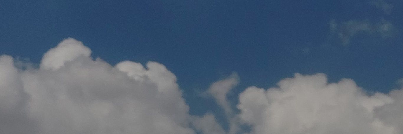 lotusm9_'s profile banner image