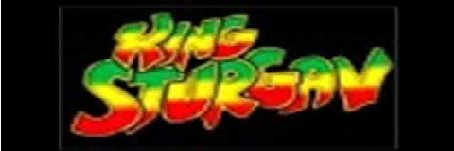 Sturgav's Tweeter banner