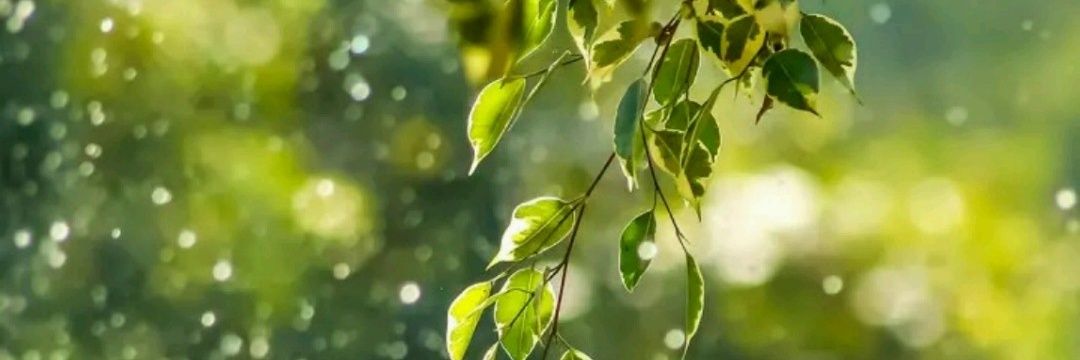Manojddu's profile banner image