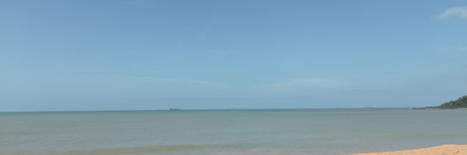 Seu safado vix banner