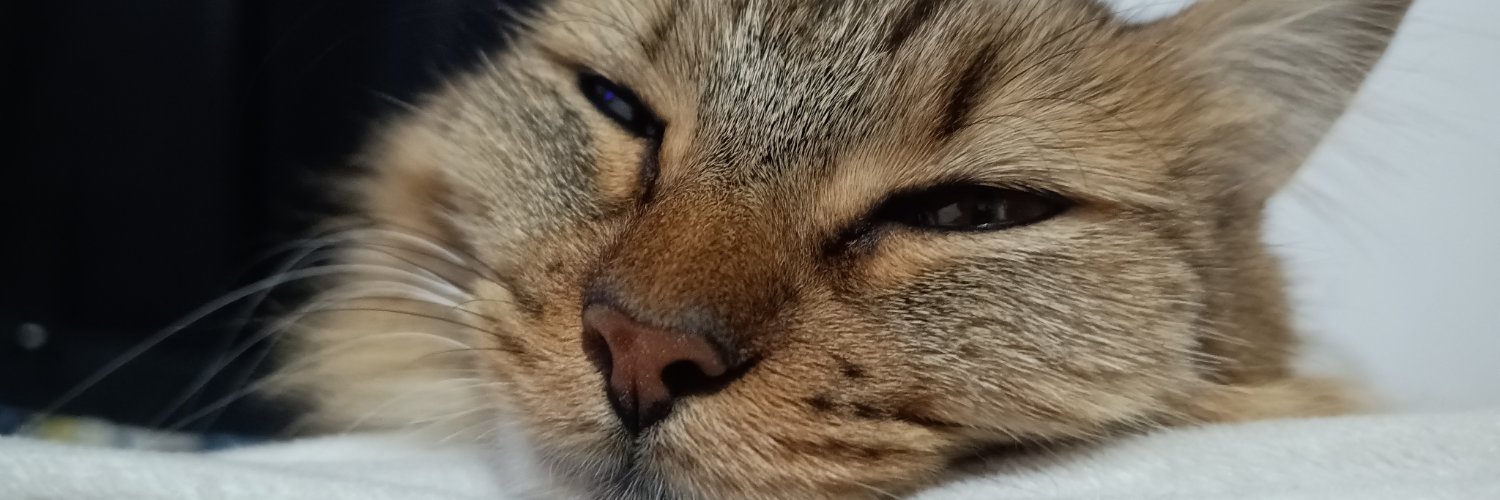 pendeja_dmierda's profile banner image