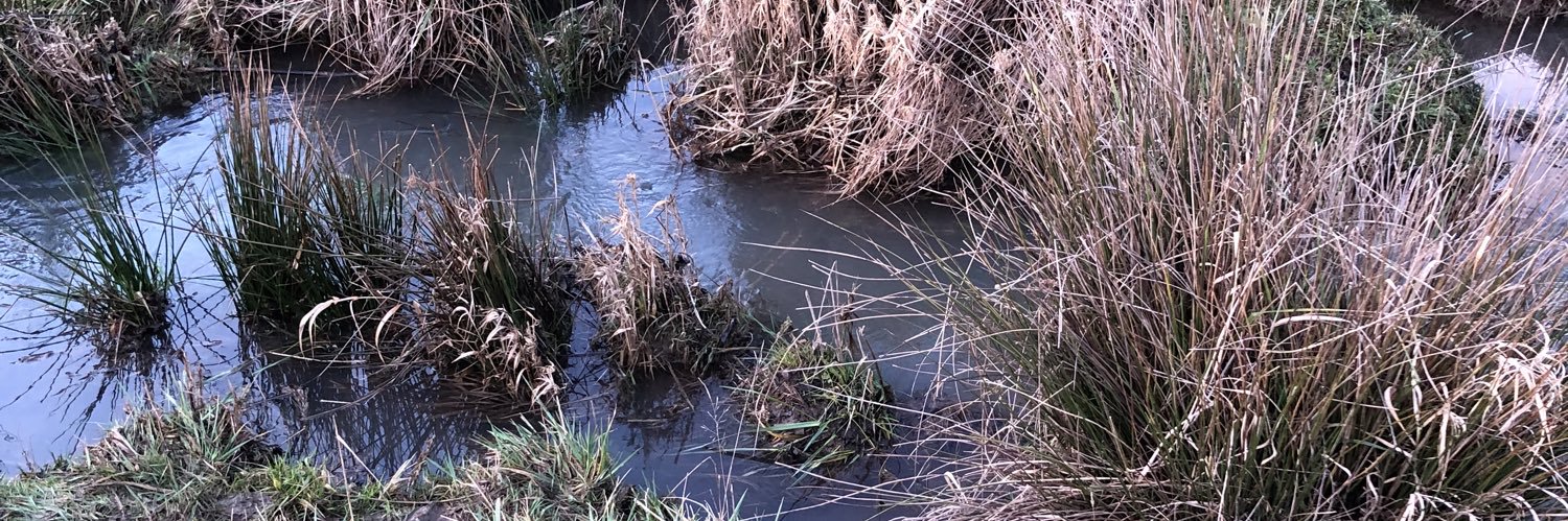 Beaver Banker banner
