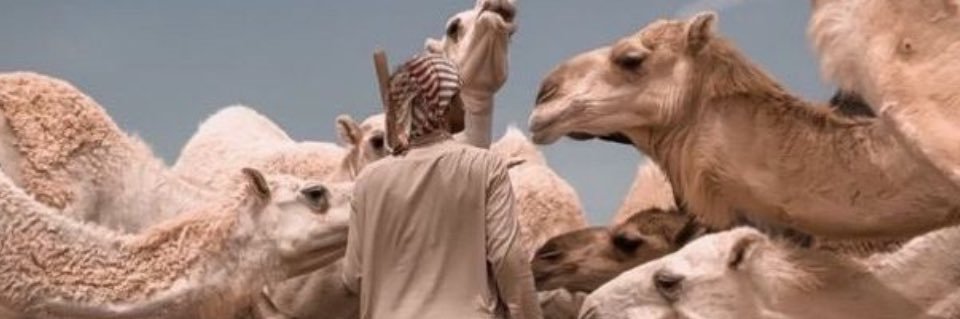 بنت الفيصل banner