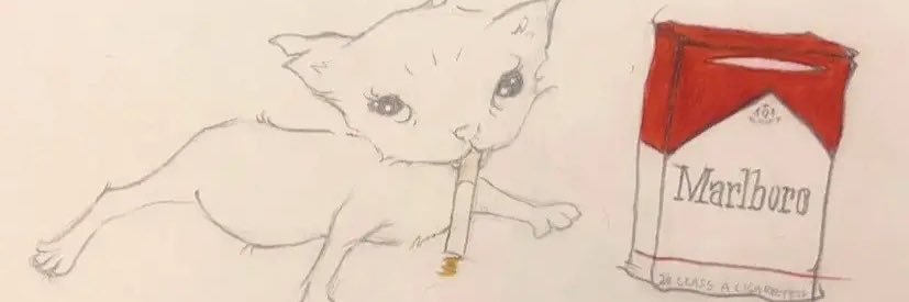maggotybrain's profile banner image