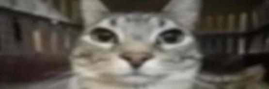 NICK!!1!🍕🔞 OPEN COMMS!! banner