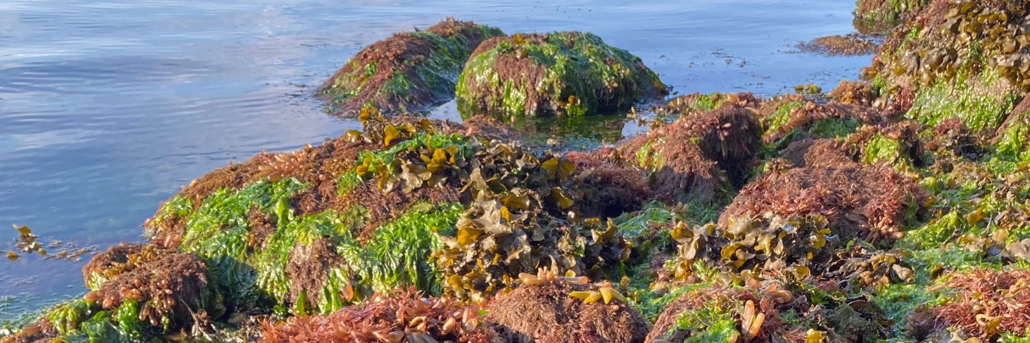 International Seaweed Symposium (ISS) banner
