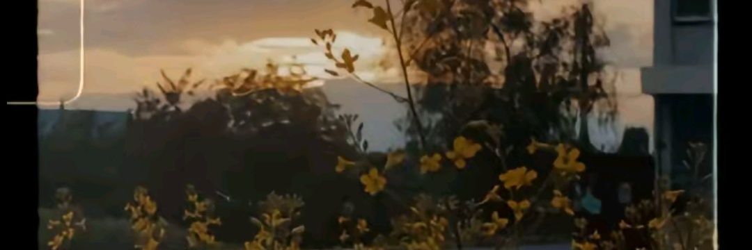 SamaBabaa's profile banner image