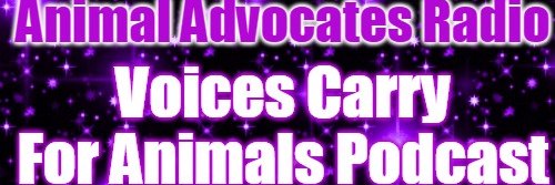 standup4animals's profile banner image