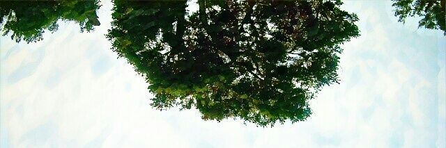 Derepontes's profile banner image