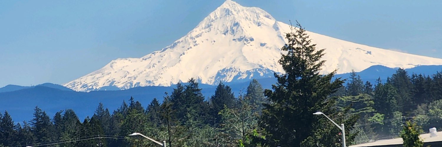 John jones Lynn banner