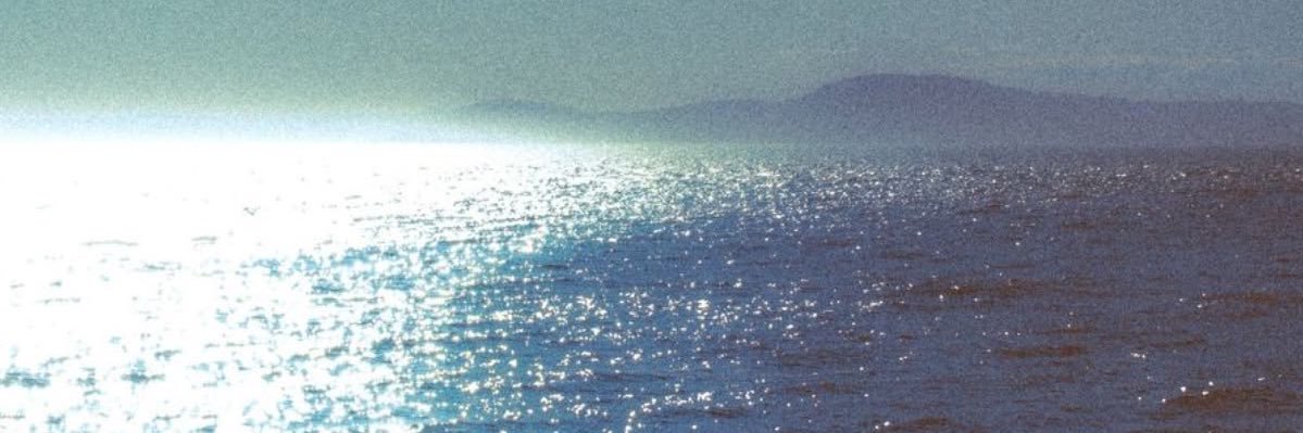 yoyo banner
