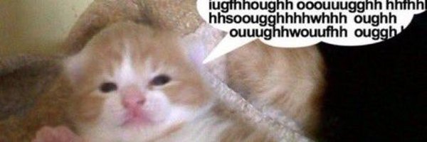 l3monbo1 Profile Banner