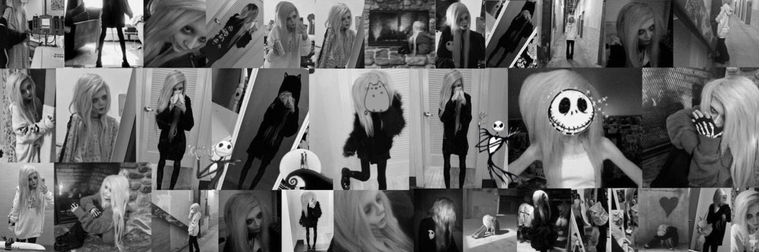 ‧*❆ ₊⋆ tara ⋆꙳•❅*‧'s banner