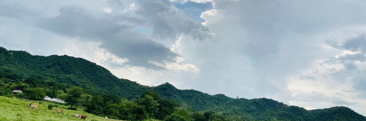 CAMARTELO's profile banner image