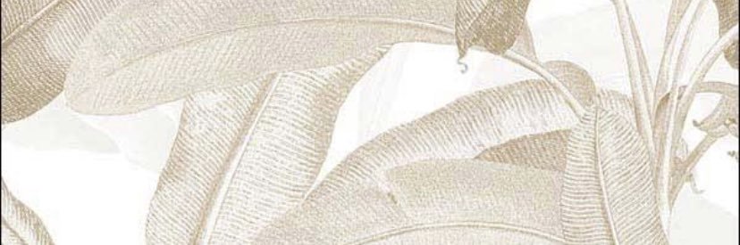 angela banner