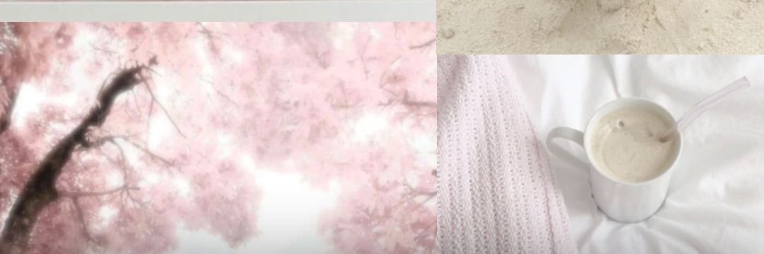 sofsita banner