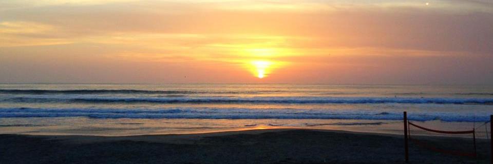 raquelgoya's profile banner image