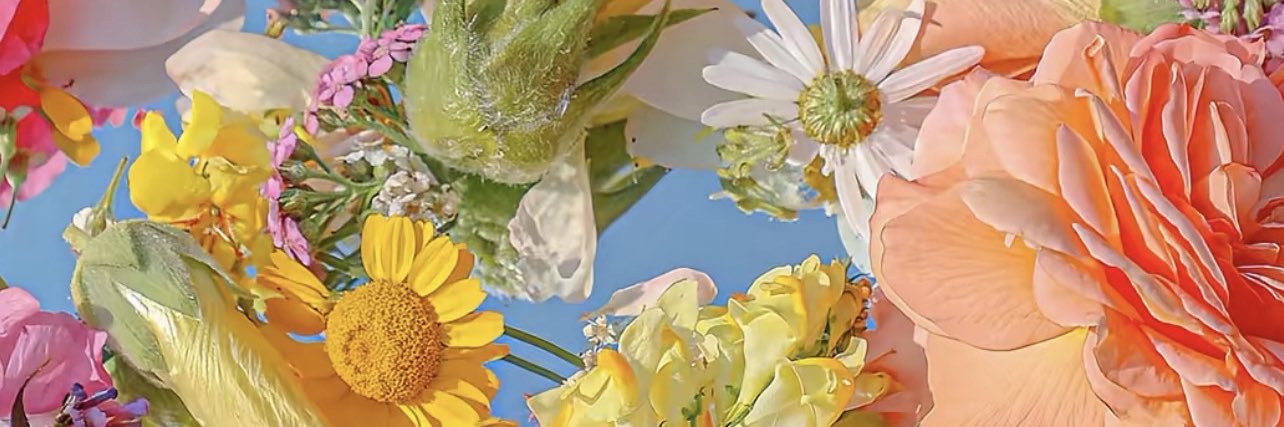 Jasmine banner
