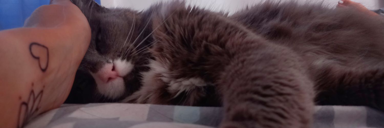 valeenviana's profile banner image