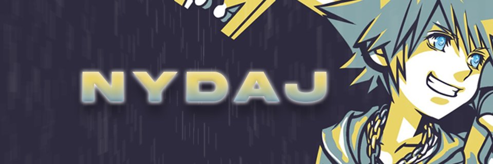 nydaj banner