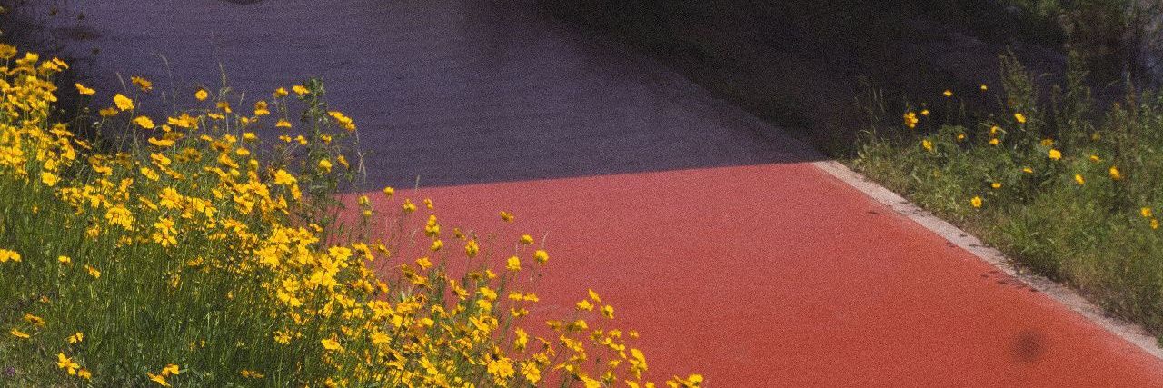 CXX13445's profile banner image