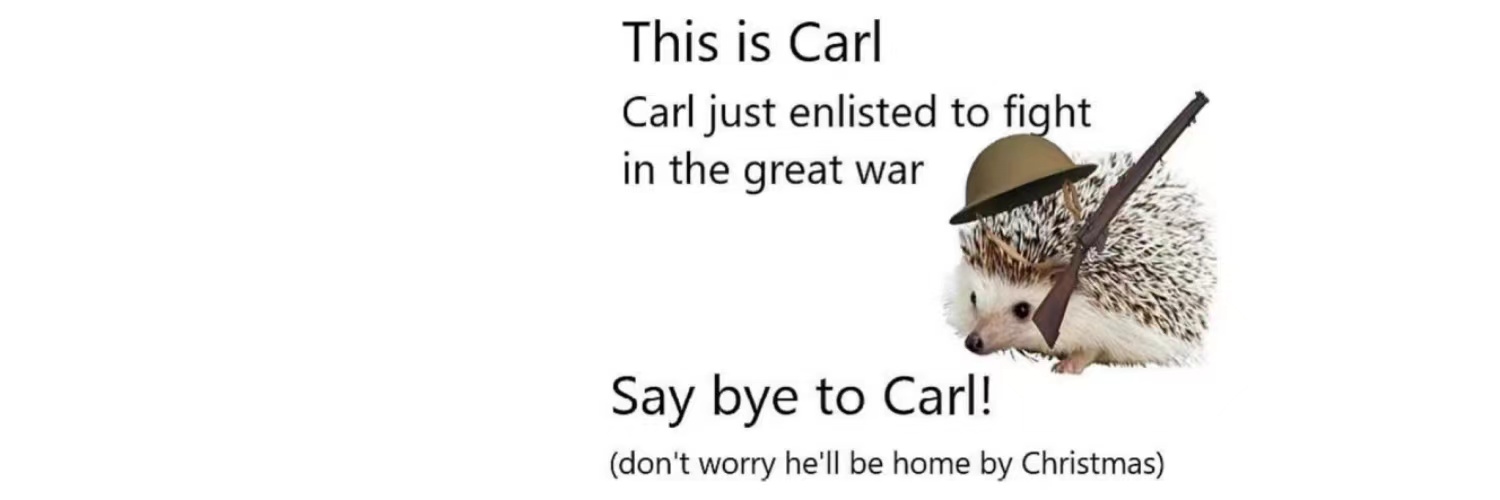 _This_is_Carl's profile banner image