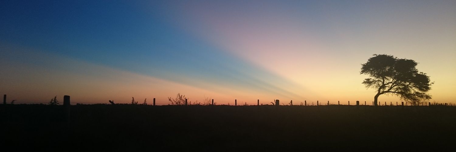 Maxinobile's profile banner image