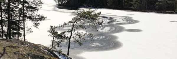 _Ziberia_ Profile Banner