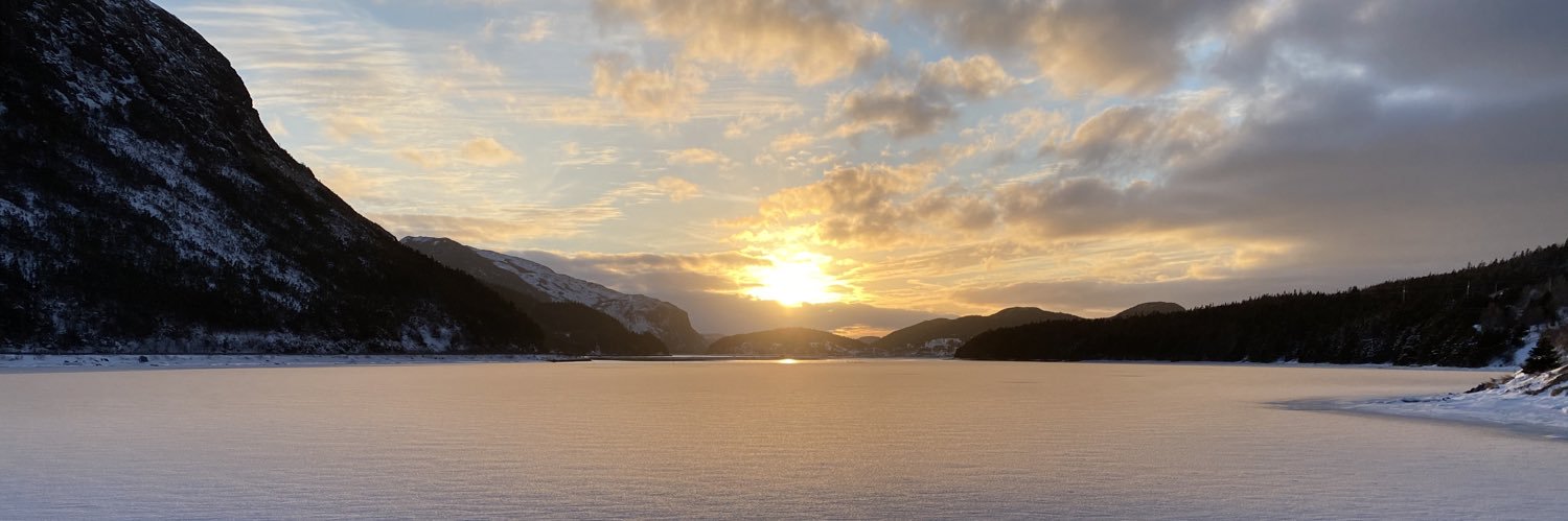 Matthew S. Scott banner