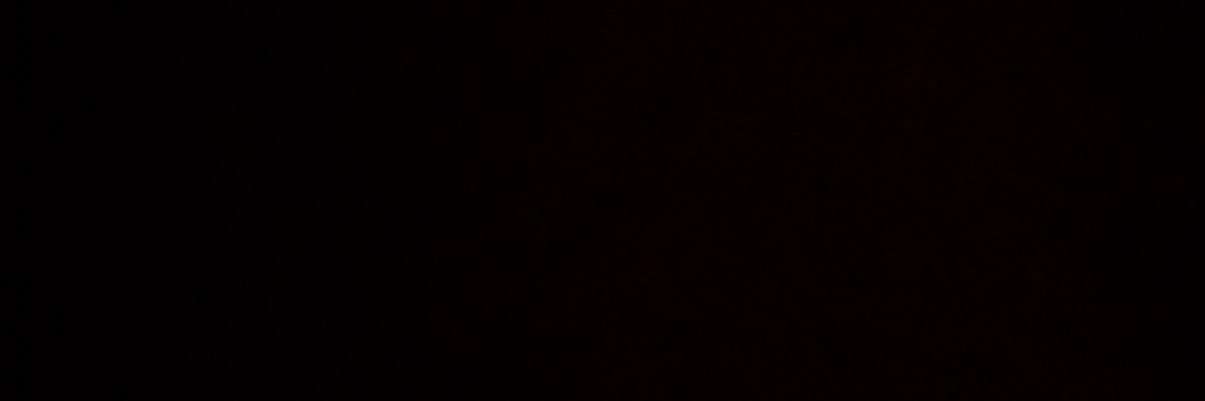 cognifera's profile banner image