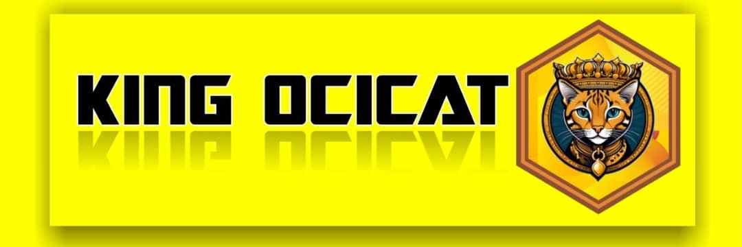 kingocicat's profile banner image