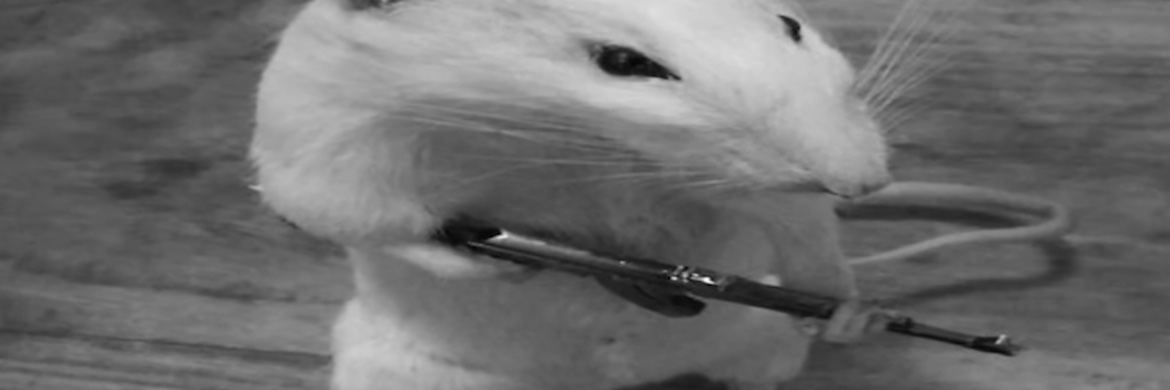 AbyssZone101's profile banner image
