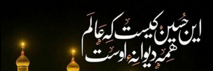 fateme_alinejad's profile banner image