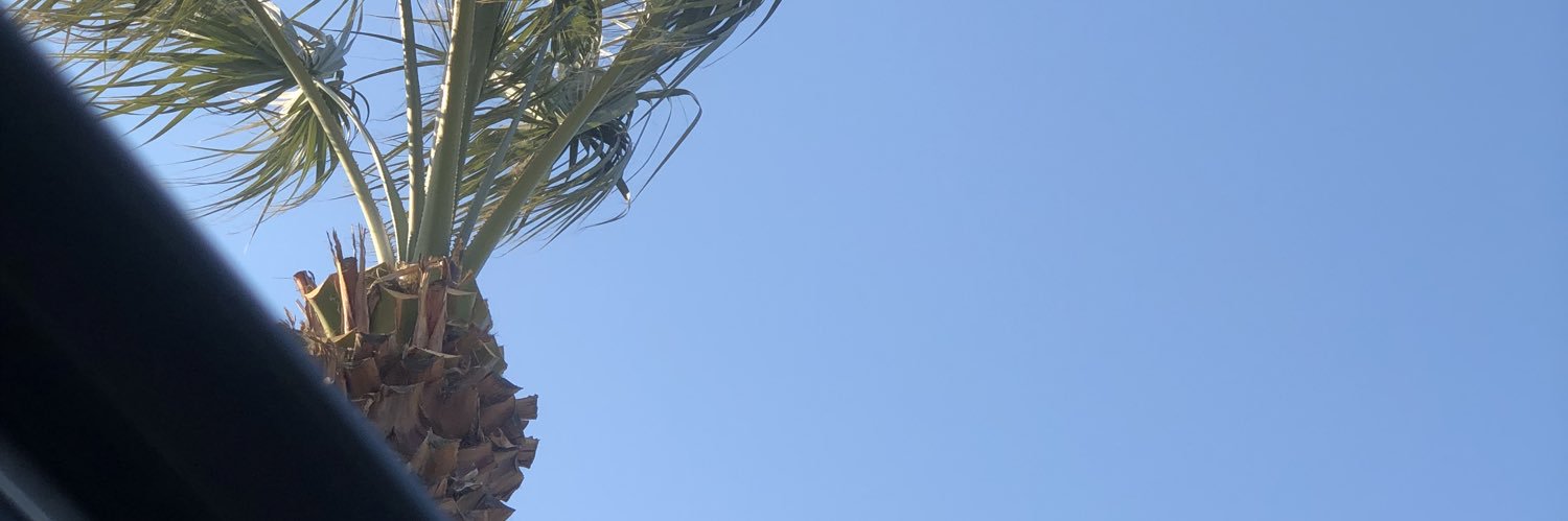 blackopiumi's profile banner image
